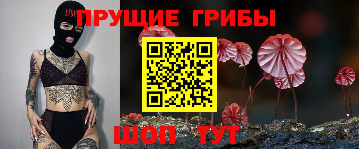Мурино  Псилоцибиновые грибы Magic Shrooms  Вход с VPN  Псилоцибиновые грибы Psilocybine cubensis 